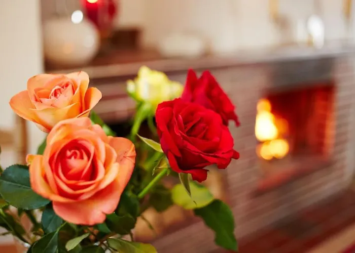 Hotel Markgraf Garni 3*